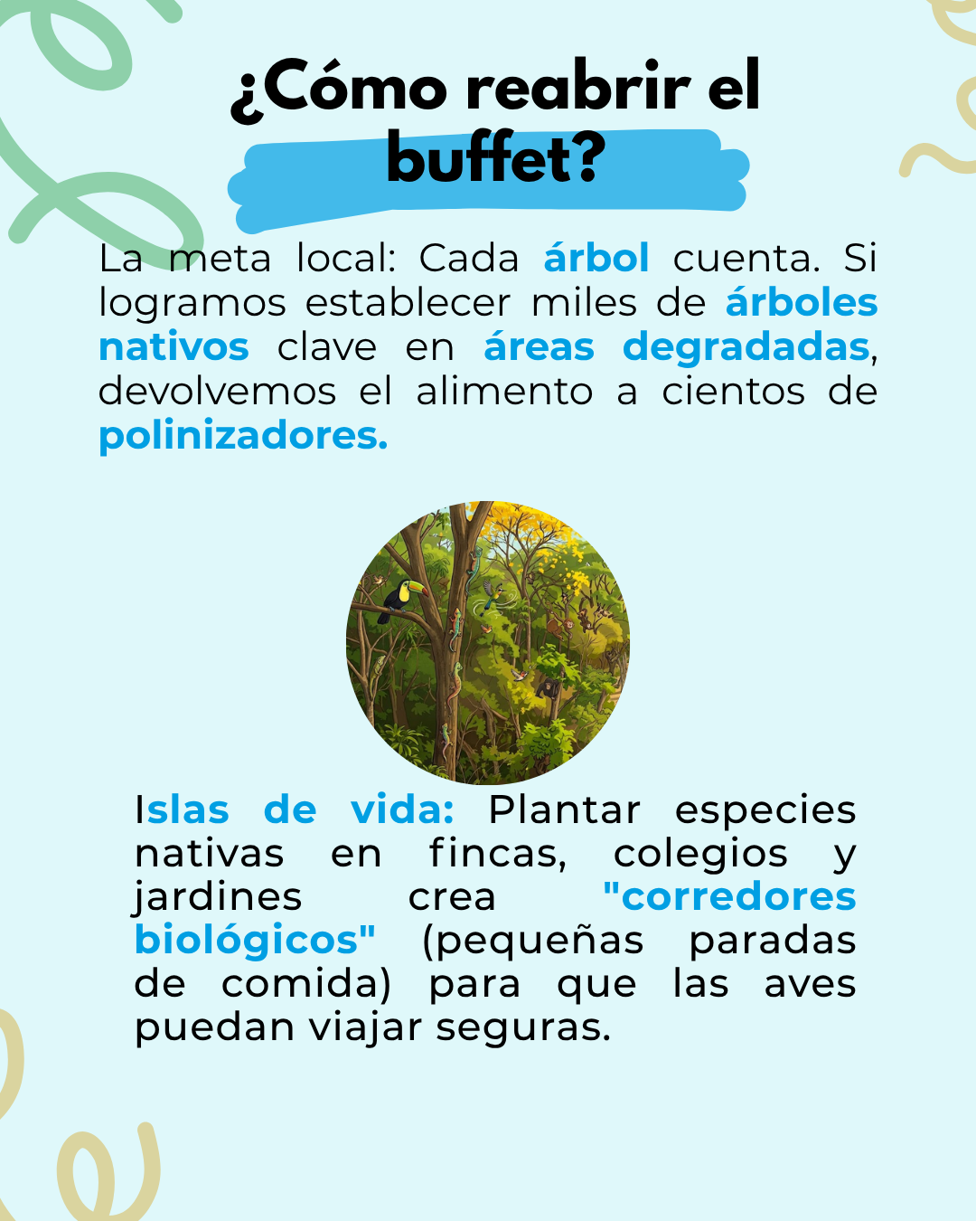 Imagen 5